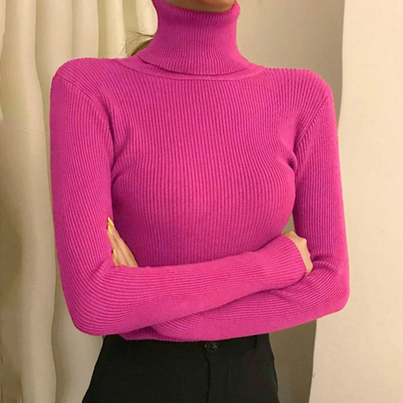 Jersey de cuello alto Jelena