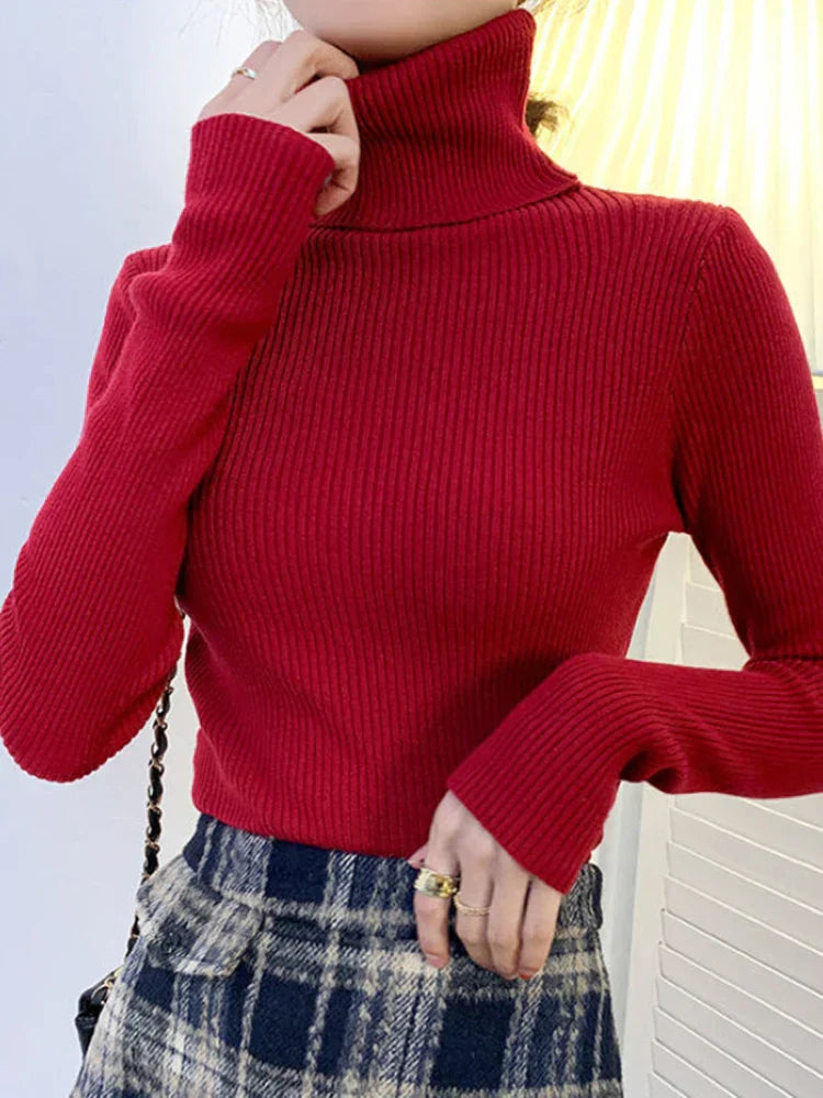 Jersey de cuello alto Margareta