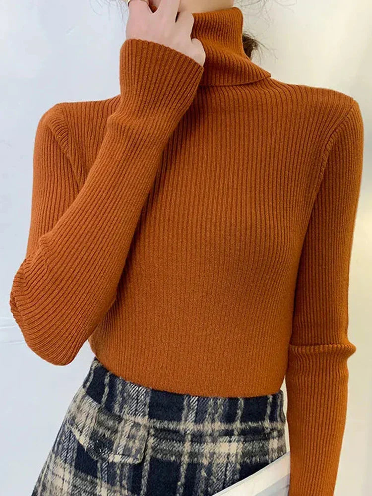 Jersey de cuello alto Margareta